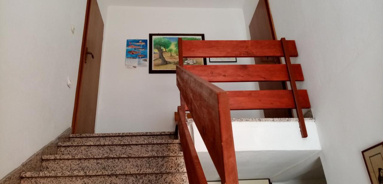 Apartments Bilo Near Primošten Dış mekan fotoğraf