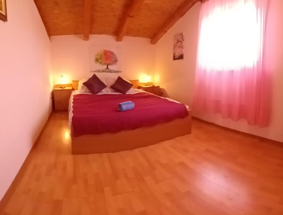 Apartments Bilo Near Primošten Dış mekan fotoğraf
