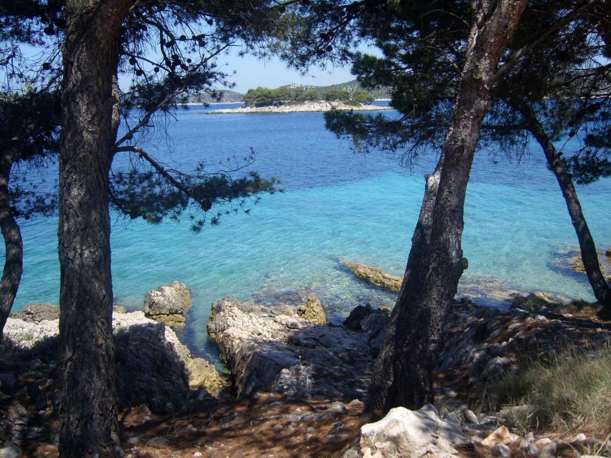 Apartments Bilo Near Primošten Dış mekan fotoğraf